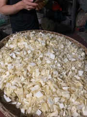 500g Củ mài rừng HOÀI SƠN SẦN chín