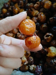 1kg bột bồ hòn loại 1