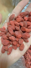 Trà Câu kỷ tử Mộc 100g