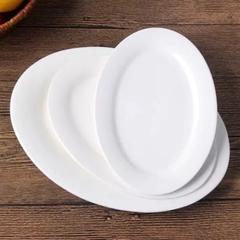 ĐĨA BẦU DỤC THƯỜNG TRẮNG