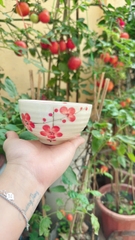 BÁT CƠM MEN MÀU VẼ TAY HỌA TIẾT