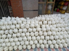 LỢN TIẾT KIỆM SỨ