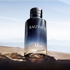 Nước Hoa Nam Christian Dior Sauvage EDT