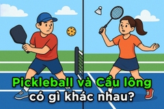 Pickleball khác gì Tennis & Cầu lông?