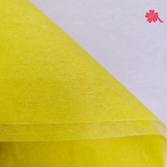 Mếch Xấp, Giấy Mếch