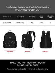 DSW Special Backpack