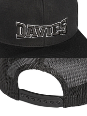 DSW Mesh Snapback