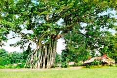 CHƯƠNG TRÌNH TRẠI HÈ QUÊ HƯƠNG 2025 ( Đà Nẵng )