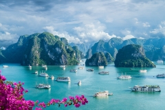 TOUR THĂM QUAN QUÊ HƯƠNG VIỆT NAM