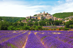 PHÁP - THỤY SĨ - Ý - VATICAN - MONACO - TUYẾN XANH GREEN