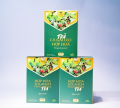 Trà gai leo Hợp Hoà