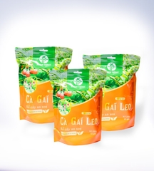 Trà túi lọc rễ Cà gai leo Phạm Trình 250g