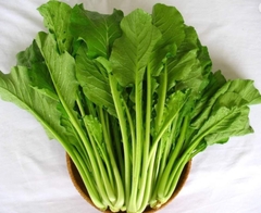 Rau cải ngọt hữu cơ