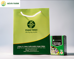 Cao An Xoa Phạm Trình