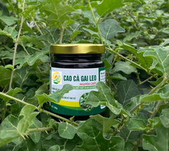 Cao Cà Gai Leo