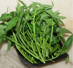 Rau Muống hữu cơ