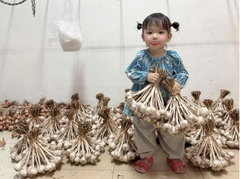Tỏi ta hữu cơ