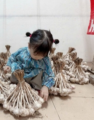 Tỏi ta hữu cơ