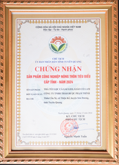 Trà Thân Cà Gai, Giảo Cổ Lam (500g)