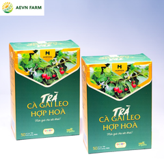 Trà Cà gai leo Hợp Hòa