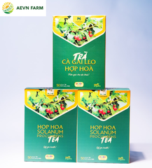 Trà Cà gai leo Hợp Hòa