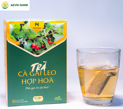 Trà Cà gai leo Hợp Hòa