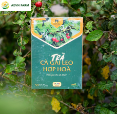 Trà Cà gai leo Hợp Hòa