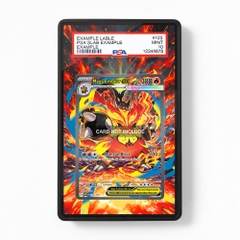 Khung thiết Mega Emboar ex 273-217 SIR SAR Ascended Heroes bảo vệ thẻ bài - Extended Art Case for trading card Pokemon