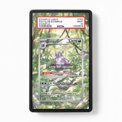 Khung thiết kế Nidoking 174-165 IR AR Scarlet & Violet 151 bảo vệ thẻ bài - Extended Art Case for trading card Pokemon