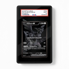 Khung thiết Zekrom ex 172-086 BWR Black Bolt bảo vệ thẻ bài - Extended Art Case for trading card Pokemon