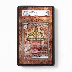 Khung thiết kế Hydrapple ex 167-142 SIR SAR Stellar Crown bảo vệ thẻ bài - Extended Art Case for trading card Pokemon