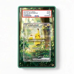 Khung thiết Pikachu ex 276-217 SIR SAR Ascended Heroes bảo vệ thẻ bài - Extended Art Case for trading card Pokemon