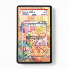 Khung thiết kế Bianca's Devotion 209-162 SIR SAR Temporal Forces bảo vệ thẻ bài - Extended Art Case for trading card Pokemon
