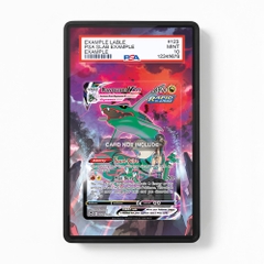 Khung thiết kế Rayquaza VMAX TG20 Trainer Gallery Silver Tempest bảo vệ thẻ bài - Extended Art Case for trading card Pokemon