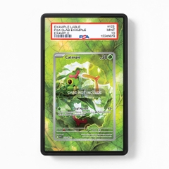 Khung thiết kế Caterpie 172-165 IR AR Scarlet & Violet 151 bảo vệ thẻ bài - Extended Art Case for trading card Pokemon