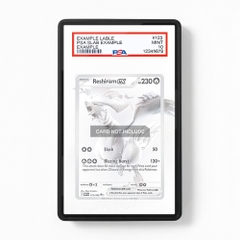 Khung thiết kế Reshiram ex 173-086 Black White Rare White Flare bảo vệ thẻ bài - Extended Art Case for trading card Pokemon