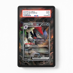 Khung thiết kế N's Zoroark ex 185-159 SIR SAR Journey Together bảo vệ thẻ bài - Extended Art Case for trading card Pokemon