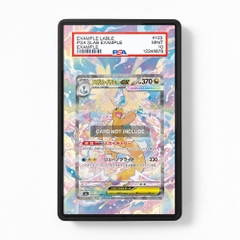 Khung thiết Mega Dragonite EX 290-217 SAR SIR Ascended Heroes bảo vệ thẻ bài - Extended Art Case for trading card Pokemon