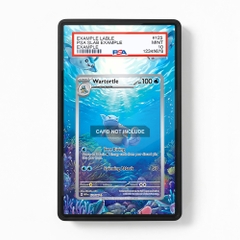 Khung thiết kế Wartortle 171-165 IR AR Scarlet & Violet 151 bảo vệ thẻ bài - Extended Art Case for trading card Pokemon