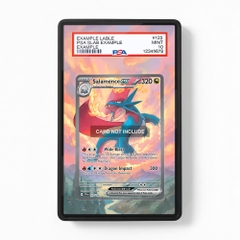 Khung thiết kế Salamence ex 187-159 SIR SAR Journey Together bảo vệ thẻ bài - Extended Art Case for trading card Pokemon
