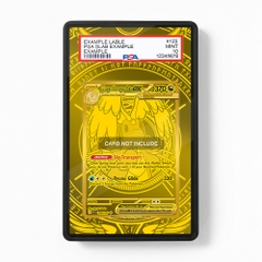 Khung thiết Mega Dragonite ex 295-217 Hyper Rare MUR Ascended Heroes bảo vệ thẻ bài - Extended Art Case for trading card Pokemon