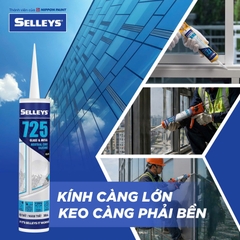 Keo silicone 725 Đen (A500)