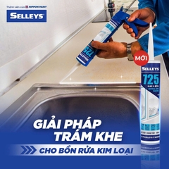 Keo silicone 725 Đen (A500)