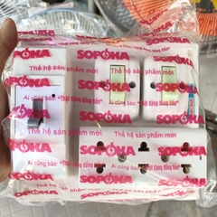 Bảng điện Sopoka BN21