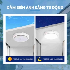 Đèn ốp trần NLMT 300W OP3300-SP