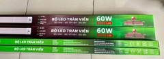Bóng đèn bán nguyệt OVAL 60W