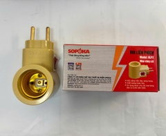 Đuôi liền phích ĐLP2 (vàng cát)