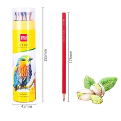 Chì màu deli 7070-24