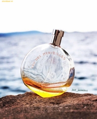 Nước hoa nữ Hermes Eau Des Merveilles EDT 100ml