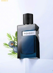 Nước Hoa Nam YSL Y EDP Intense 100ML